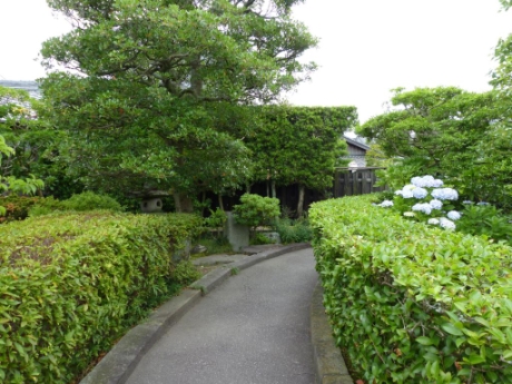 画像8